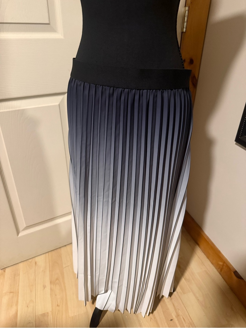 Adrianna Papell Pleated Ombre Skirt, Size L